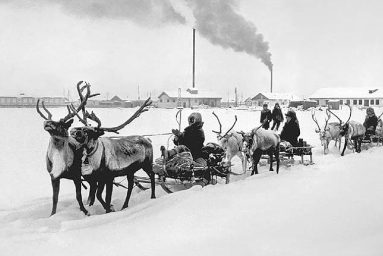 Оленеводы Оймяконский С. 424 Оленеводы Оймяконский С. 424